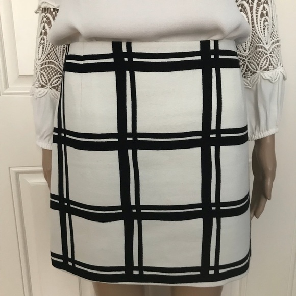 Tibi Dresses & Skirts - NWOT Tibi cotton white checkered border mini skirt